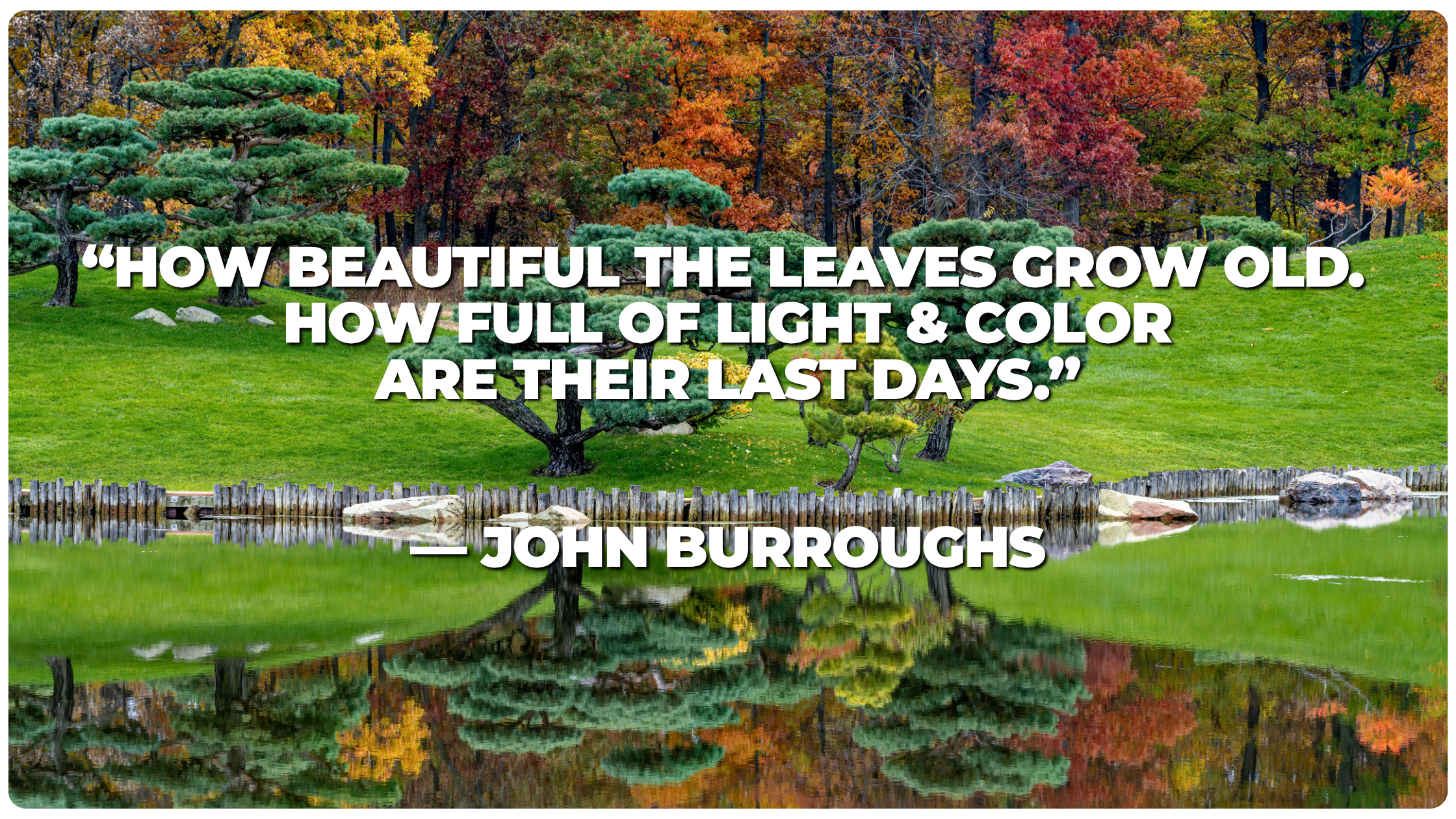 John Burroughs Quote - Anderson Japanese Gardens